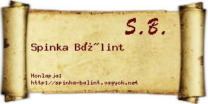 Spinka Bálint névjegykártya