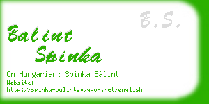 balint spinka business card